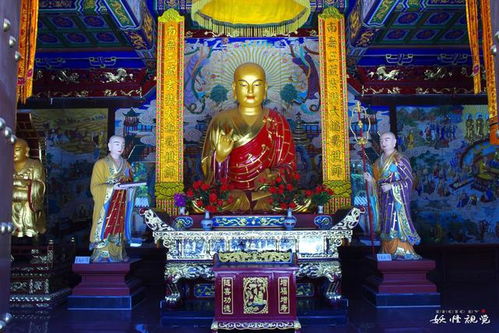 陕西西安 最低调 的寺庙,为唐三藏安葬地,门票免费却少有人知