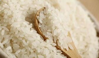 陈旧大米能用来养花吗