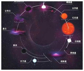 恒星钱包,恒星链与Pi链关系