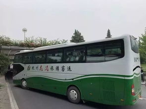 杭州一大巴车撞上桥墩被 削头 车上坐了30名幼儿园孩子,刚刚春游回来