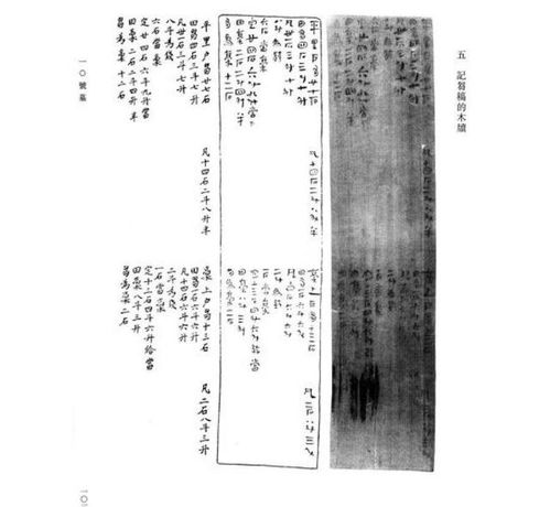 凤凰山发现1.66米男尸,出土一 介绍信 ,解读后令人啼笑皆非