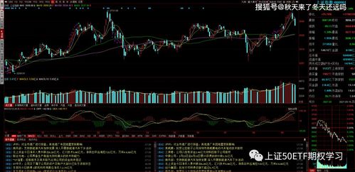 怎么提前一天确定 明天应该关注哪些股票