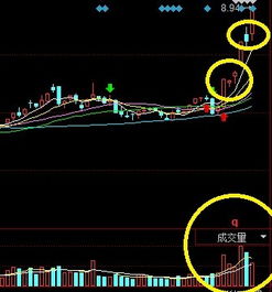 横盘一个月后放量涨停第二天低开放量收阴线是怎么回事?