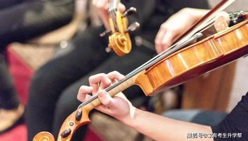 哈尔滨音乐艺考培训机构排名