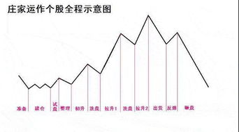 不同类型庄家操盘都有什么特点