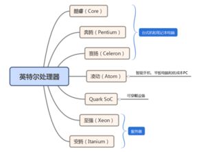 英特尔处理器型号带前缀G代表什么意思(英特尔处理器后面的字母g)