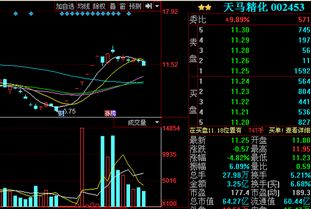 "；天马过桥"； 在股票软件里作为指标具体是什么含义？