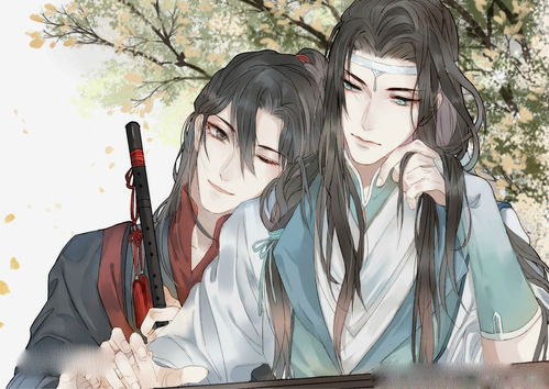 无解 魔道祖师