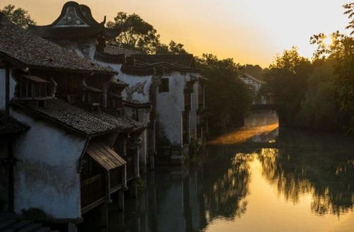 那年夏天,今年夏天,去江南,寻一份回忆 