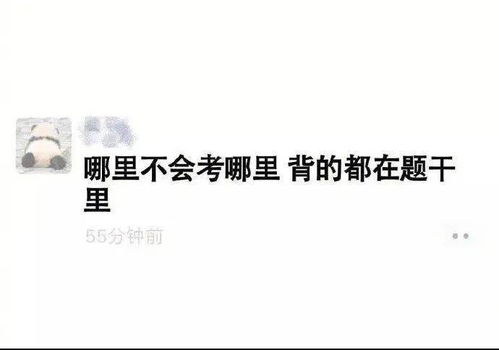 我搞不懂那些人为什么老是找我借钱