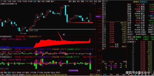 股票主资金分析技巧,主资金分析的重要性