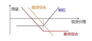 期货和期权怎么做对冲,期货套期保值 期货和期权怎么做对冲,期货套期保值 NTF