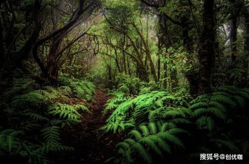 水瓶座孤傲极端,忽冷忽热,可城府可单纯,但这些星座能够受得了