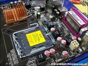 AMD里有什么东西