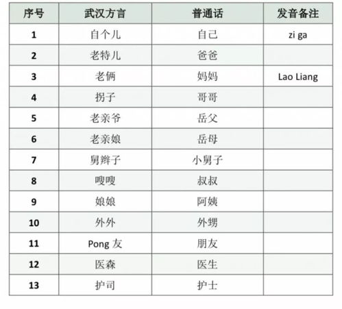 请查收,医疗队刚到两天就编了本武汉方言 密码本