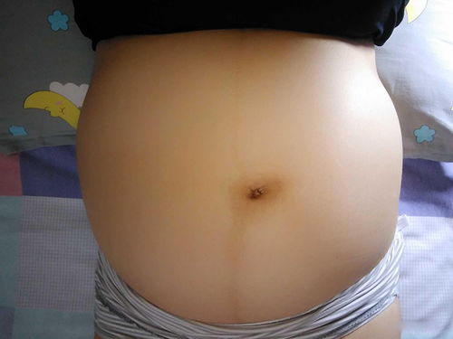 原创怀孕多久有“肚子”才正常？显怀过早，可能是这2个因素引起的
