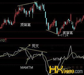 请问MTM这个指标如何用？