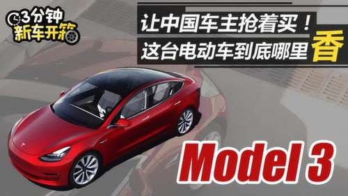 3分钟新车开箱 外观酷似伏地魔 降价后的Model 3值得入手吗 