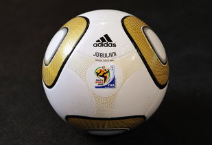 2010年南非世界杯决赛