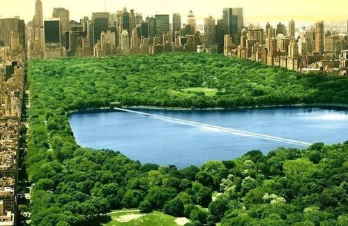 一座被称为奇迹的公园 建成近150年,如今成纽约最贵的区域