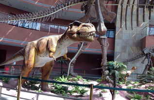 探秘河源恐龙博物馆：穿越时空的恐龙盛宴