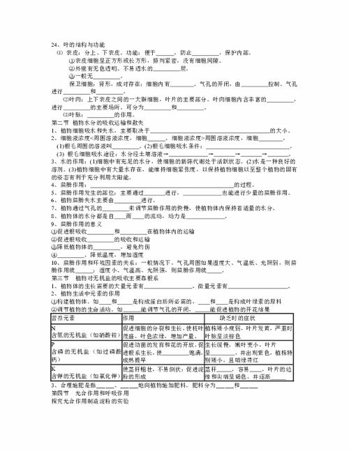 有关植物根新陈代谢的知识树