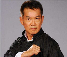 元彪演的电影,元彪,原名夏令震,1957年7月26日出生于香港,是香港著名武打演员,七小福之一