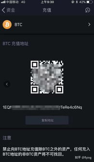 比特币btc新手入门,btc钱包怎么使用