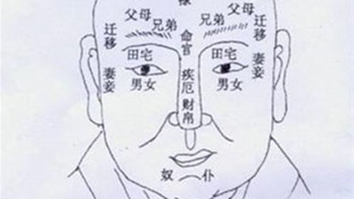 由眼神看你感情运势 