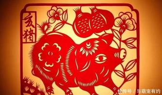 中国传统文化 猪 的象征意义,你看懂了吗 