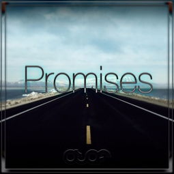 promises,Wha are Promises吗?