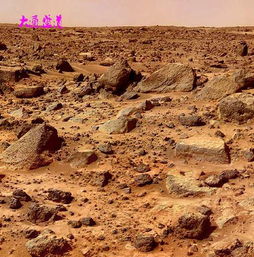 别做梦了,人类在火星上根本就没法生存