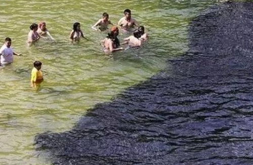 一群人在海边游泳,黑压压一片东西游过来,吓得众人落荒而逃