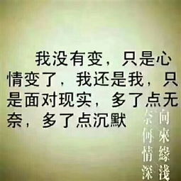 合江在线 门户导航 