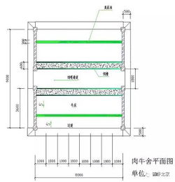 养牛场建设方法 牛舍建设图纸及相关数据