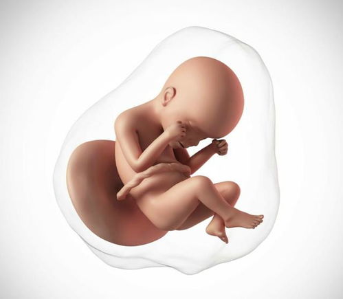 怀孕最后一个月,胎儿还会长肉吗 还能长多少 