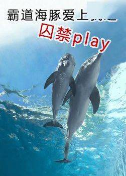 深圳出现海豚嬉戏 但你们根本就不知道海豚到底有多变态