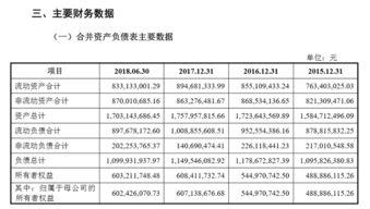 斯迪克有没有成功上市