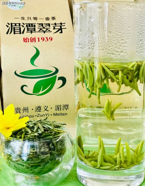竹林婆婆问 你的绿茶喝对了吗