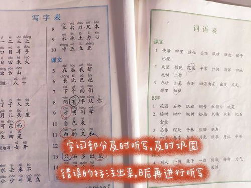 同气之光怎么造句呢_同字组词一年级？