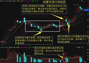 股票操盘手是做什么的