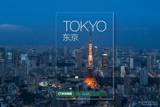 东京旅游攻略自由行线路,东京自由行攻略玩转都市，