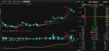 xd股票是什么意思 今天国投电力前面出现了xd是什么意思 谢谢