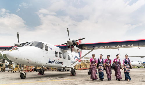 尼泊尔航空 全球航空公司高清照片版,出行不犯愁