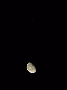 金星与月亮相位怎么看