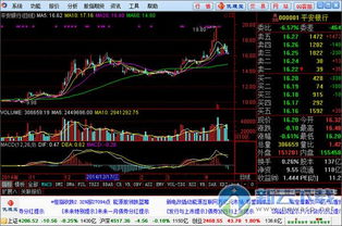 在使用证券软件时，想要直接输入拼音查股票详情该如何设置