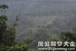 梦见山上下雨是什么意思 梦到山上下雨好不好 大鱼解梦网 