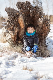 快让我在雪地上撒点野