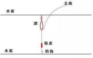 分享一个超级实用的浮漂调法,图文解析,简单易懂