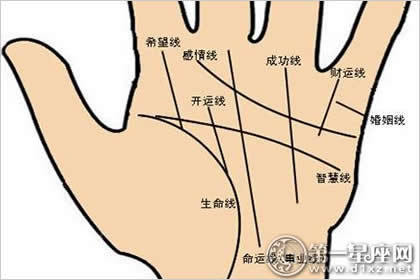 易兴真人男人手相图解大全,男人手相看哪只手